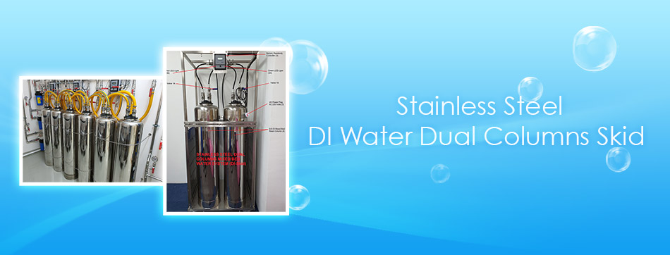 Stainless Steel DI Water Dual Columns Skid